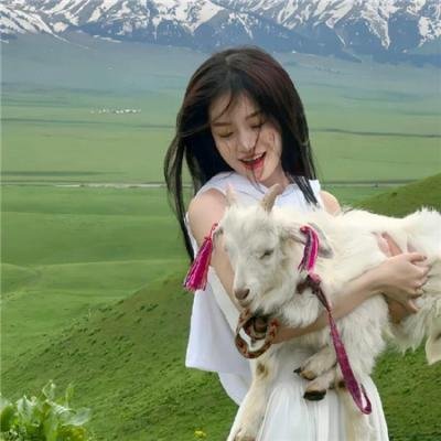 小森林 夏秋篇